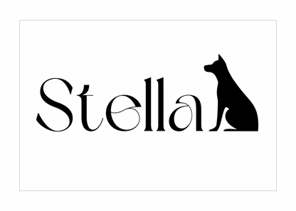 Mon compagnon de toujours